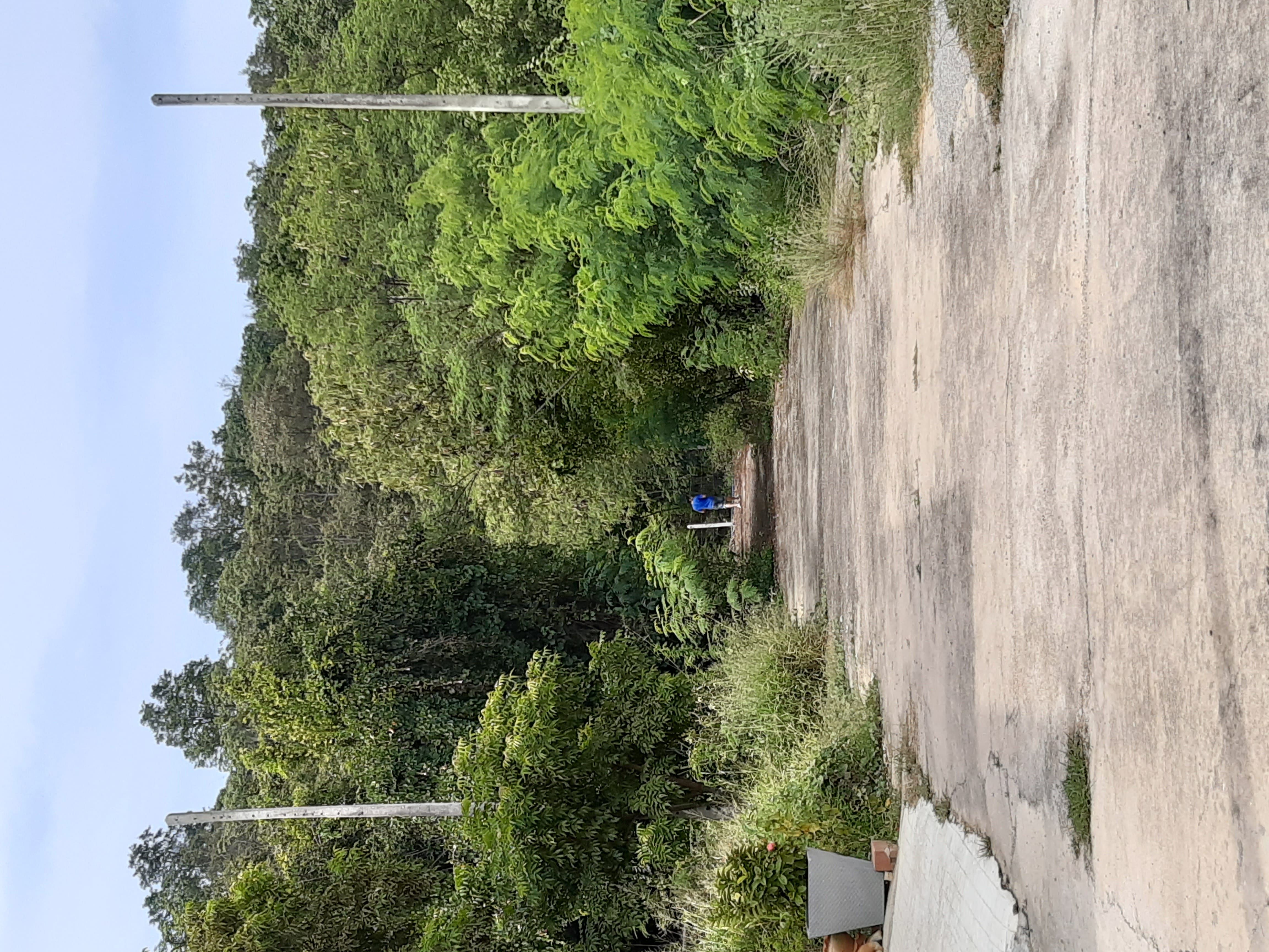 ที่ดินหัวหิน ซ.102