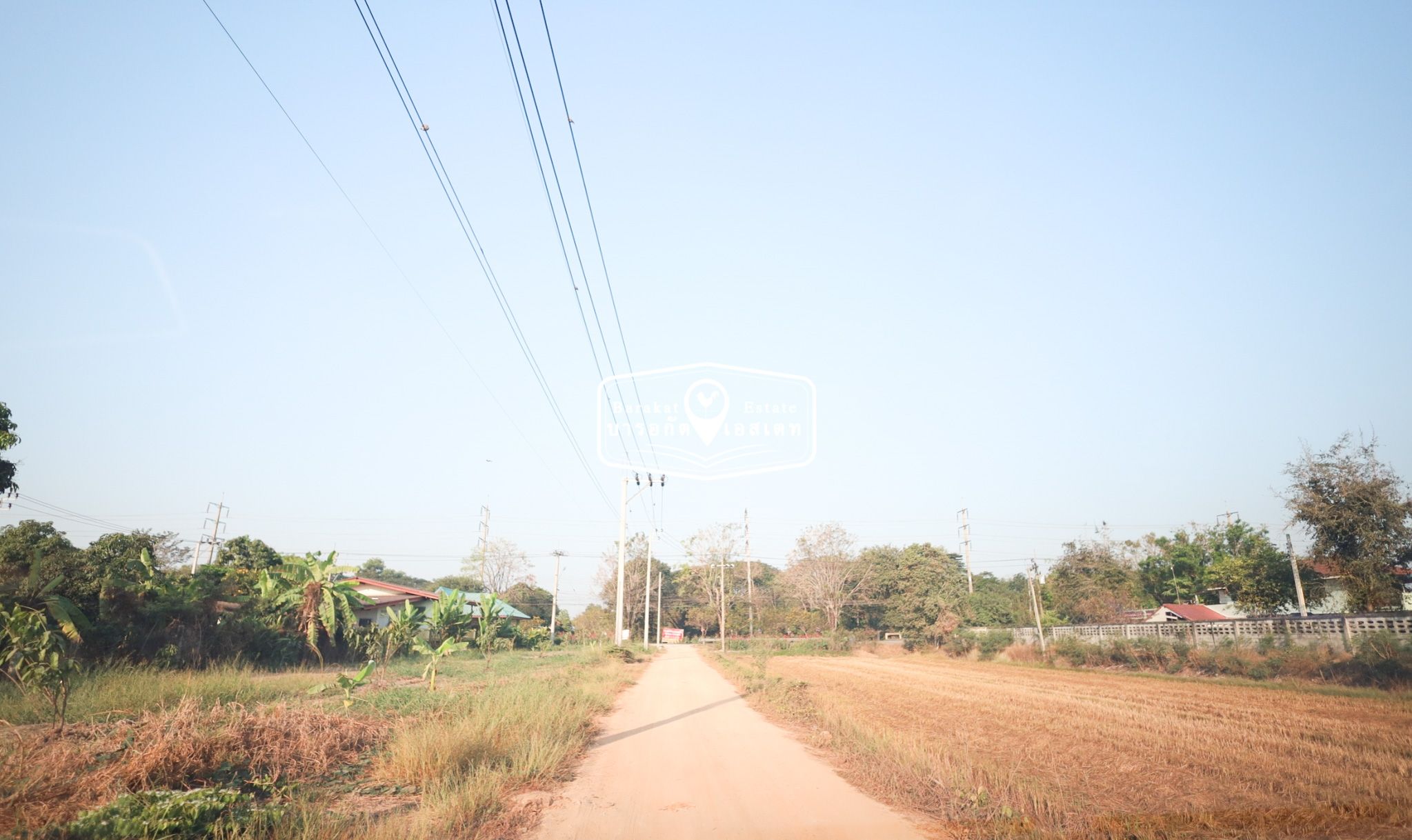 แปลงสวย ใกล้ สน.ประชาสำราญ ที่ดินทำเลดี เข้าซอยเพียง 800 เมตร เท่านั้น