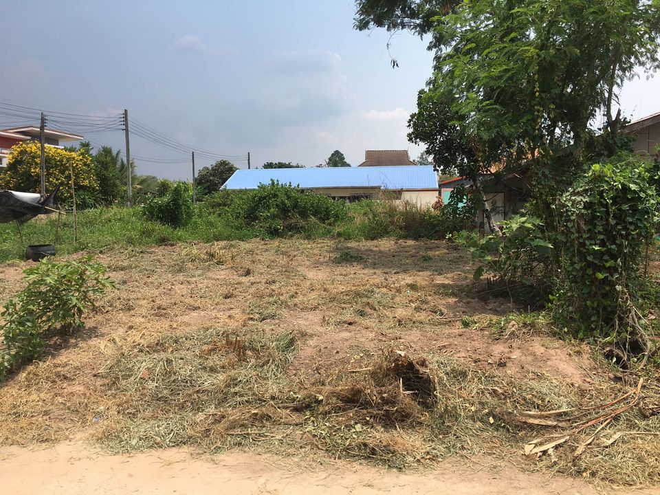 ขายที่ดิน อ.นครไทย จ.พิษณุโลก 59 ตรว.