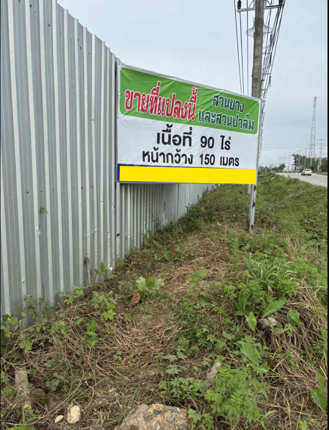 ขายที่ดินแปลงใหญ่ 90 ไร่ | ทำเลทอง อ.เมือง จ.ตรัง