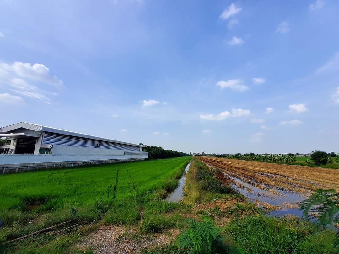 ขายที่ดินปทุมธานี อำเภอลาดหลุมแก้ว ที่ดิน 15 ไร่ 