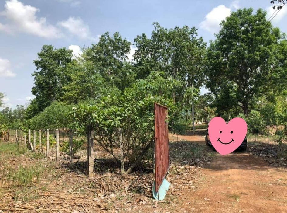 ที่ดิน พร้อมบ้าน 1 หลัง ลพบุรี 24-1-55