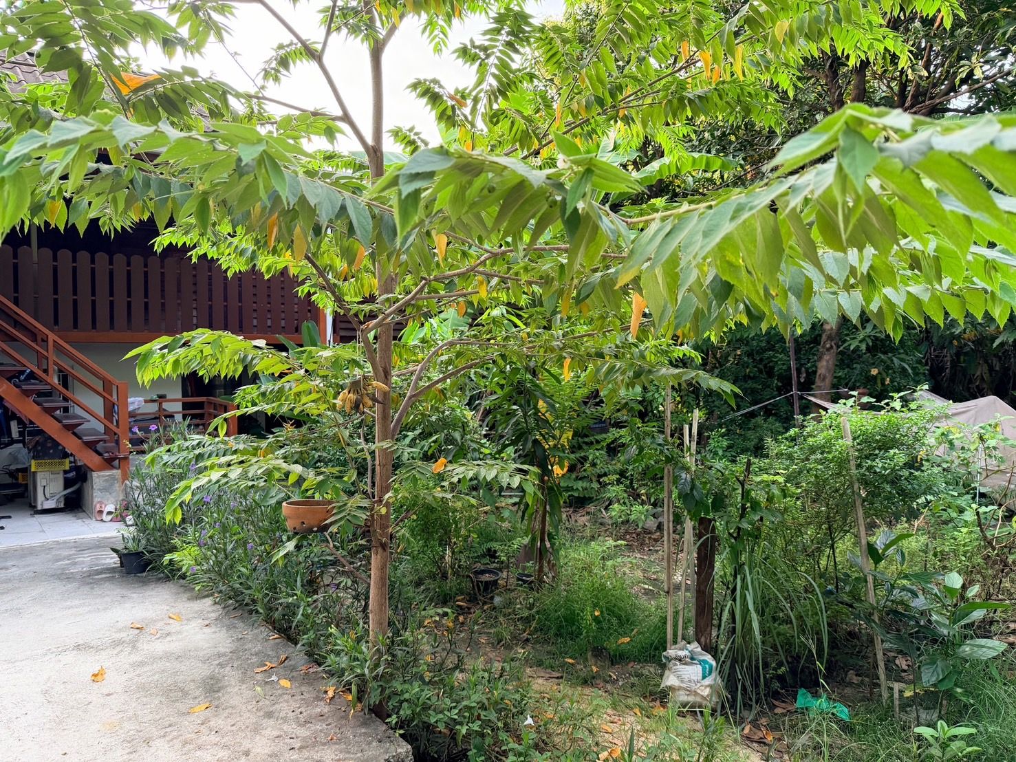 ขายที่ดินกรุงเทพฯ เขตราษฎร์บูรณะ ที่ดินแปลงสวย ทำเลสวย ลงทุนได้ เจ้าของขายเอง 1-1-33 ไร่.