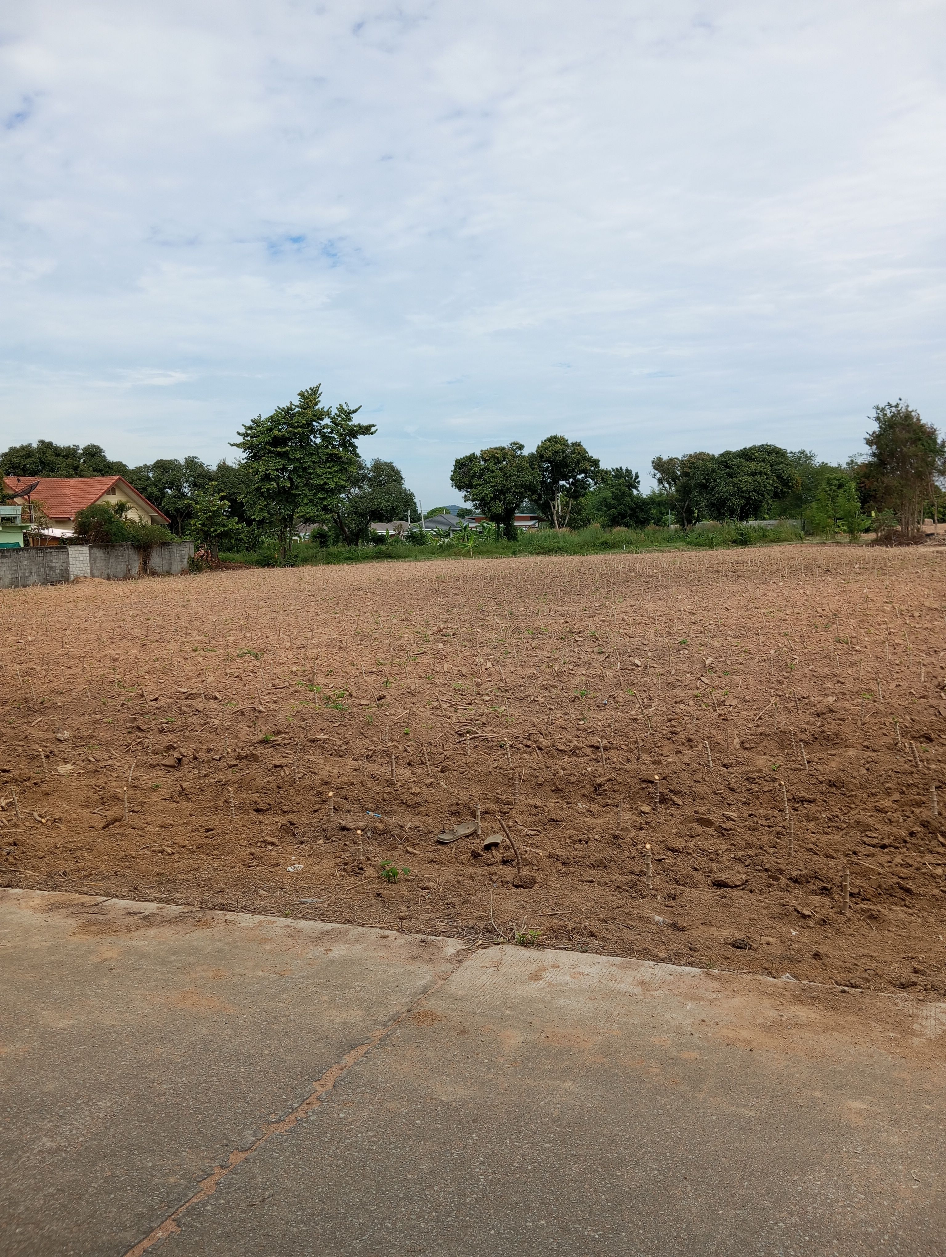 ขายที่ดิน ห้วยใหญ่ บางละมุง หลังวัดทุ่งคา 2 ไร่
