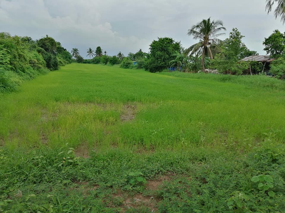 ที่ดินทุ่งนา สุพรรณบุรี 3-0-76