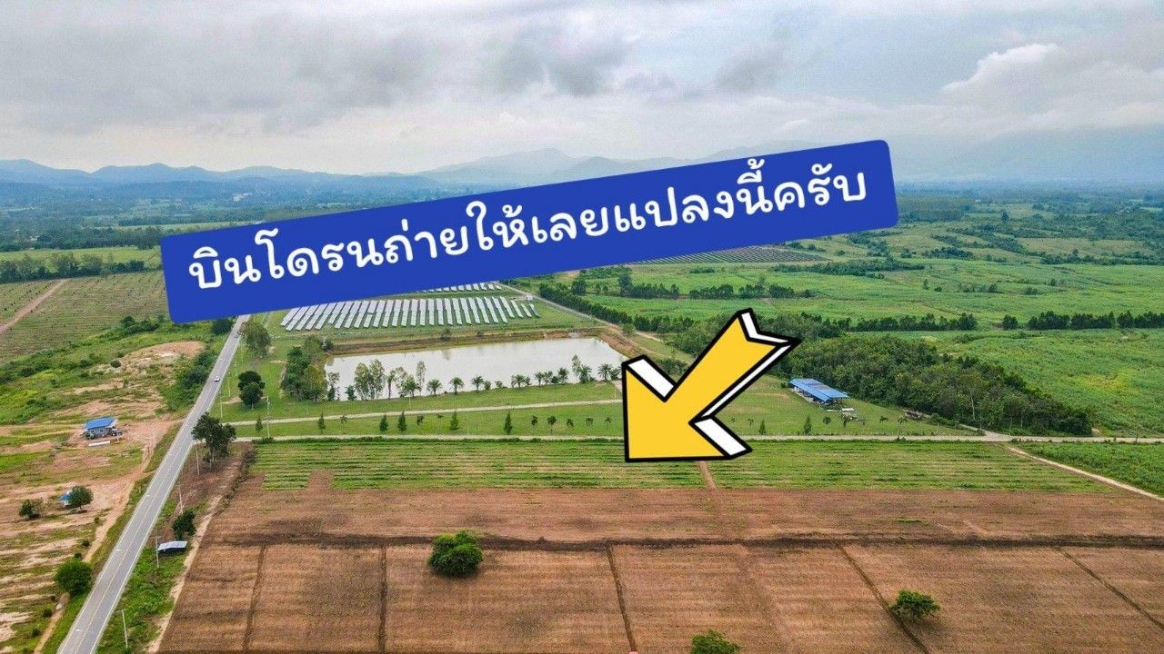 ขายที่ดินเปล่าเพชรบุรี อ.หนองหญ้าปล้อง แบ่งขาย ผ่อนตรงได้ 