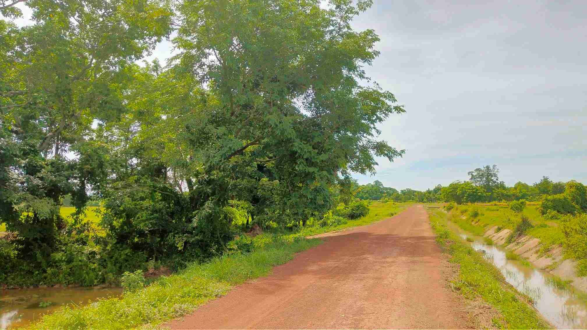 ขายที่ดินพิษณุโลก 