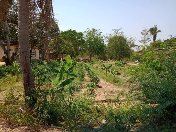 ที่ดิน อ.ท่ายาง จ.เพชรบุรี 3-2-70
