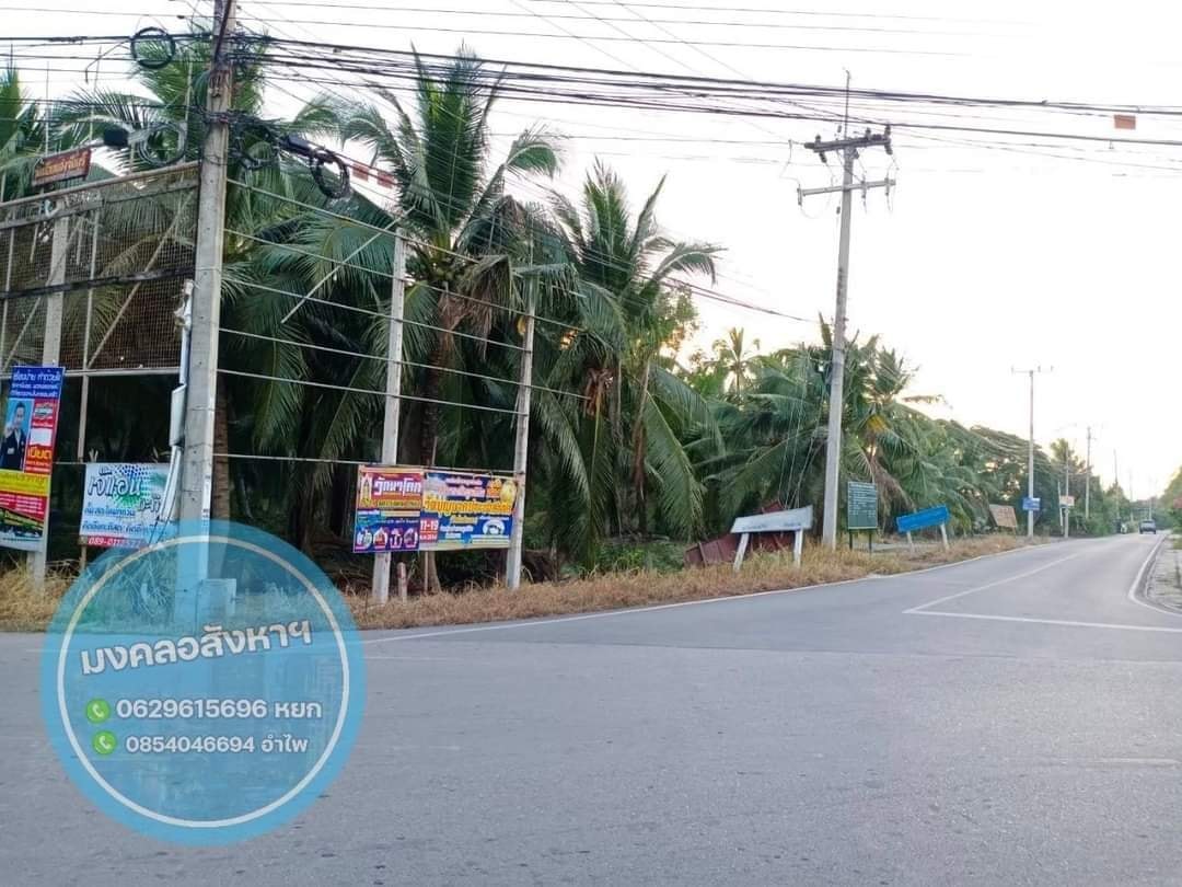 ที่ดินสวนมะพร้าว แปลงสวย สมุทรสงคราม 5-1-85
