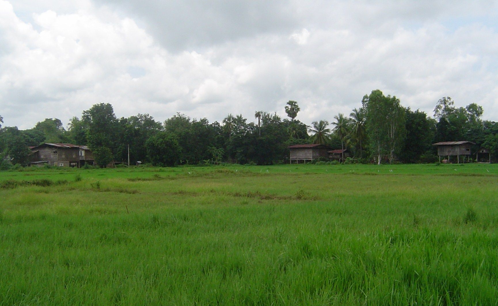 Land for Sale – 6,112 sqm in Makham Sung, Phitsanulok - Quiet Street Near Khwae Noi River