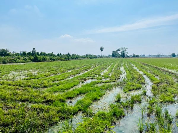 ที่ดินเป็นนา ท่ามะกา กาญจนบุรี 6-3-40