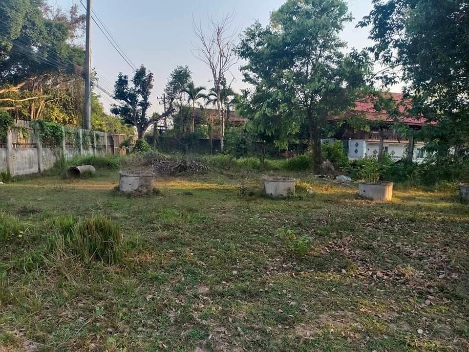 บ้านพร้อมที่ดิน แปลงสวย หนองคาย 2-1-52