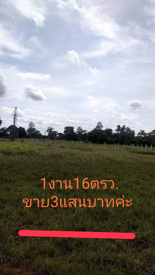 ที่ดินเปล่า วารินชำราบ อุบลราชธานี 116 ตรว.