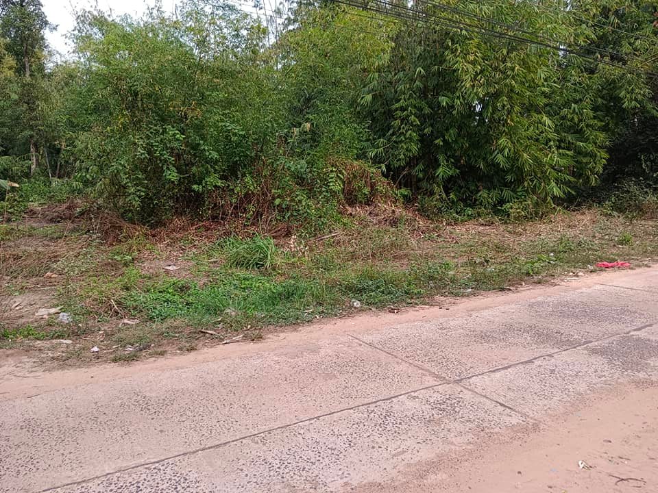 ที่ดินเหมาะแก่การปลูกที่พักอาศํย อุบลราชธานี 113 ตรว.