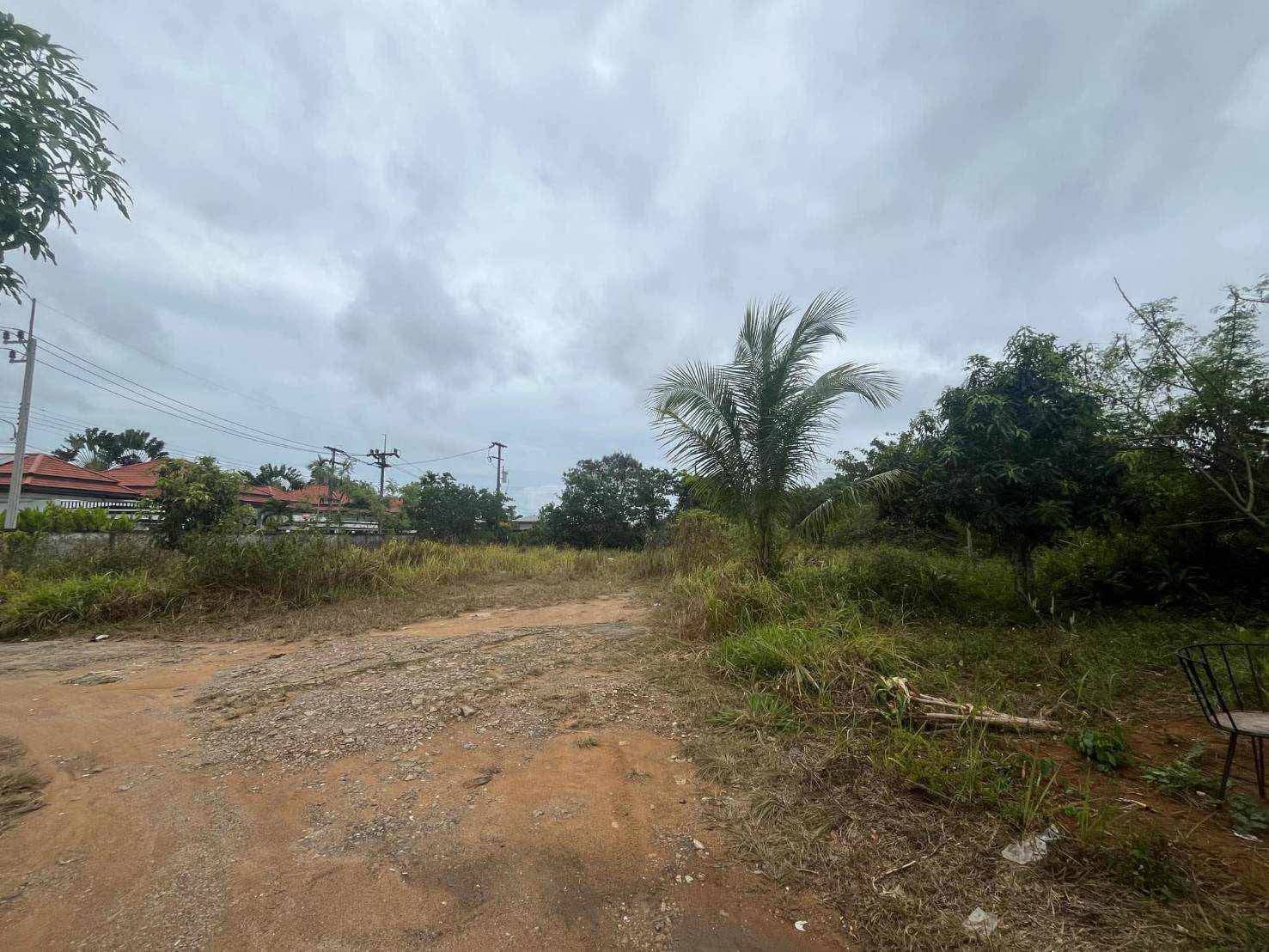 ขายที่ดินภูเก็ต ถลาง บ้านบางโจ เหมาะแก่ทำที่อยู่อาศัย-วิลล่า