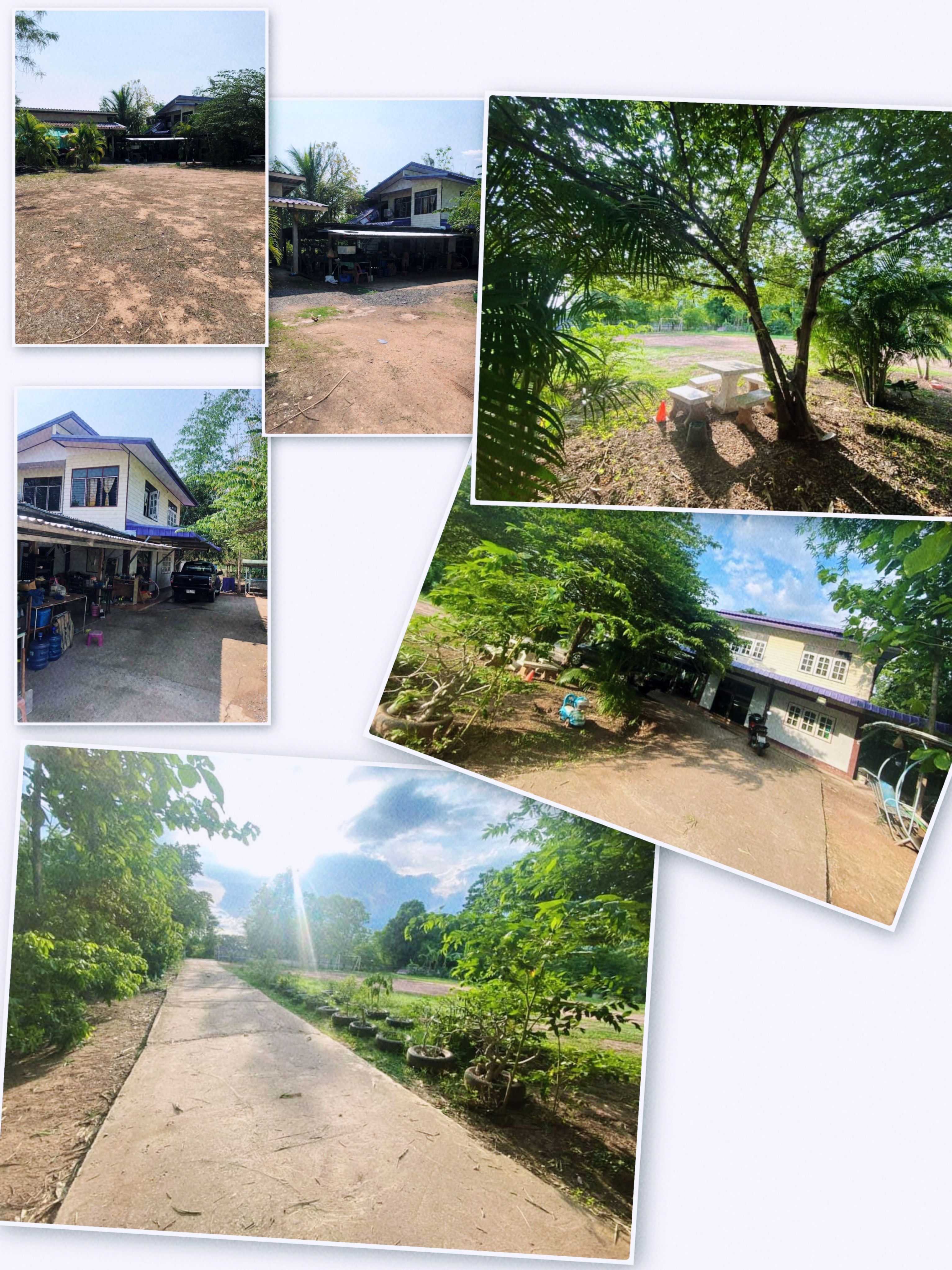 ขายบ้านพร้อมที่ดินในชุมแพราคาถูก