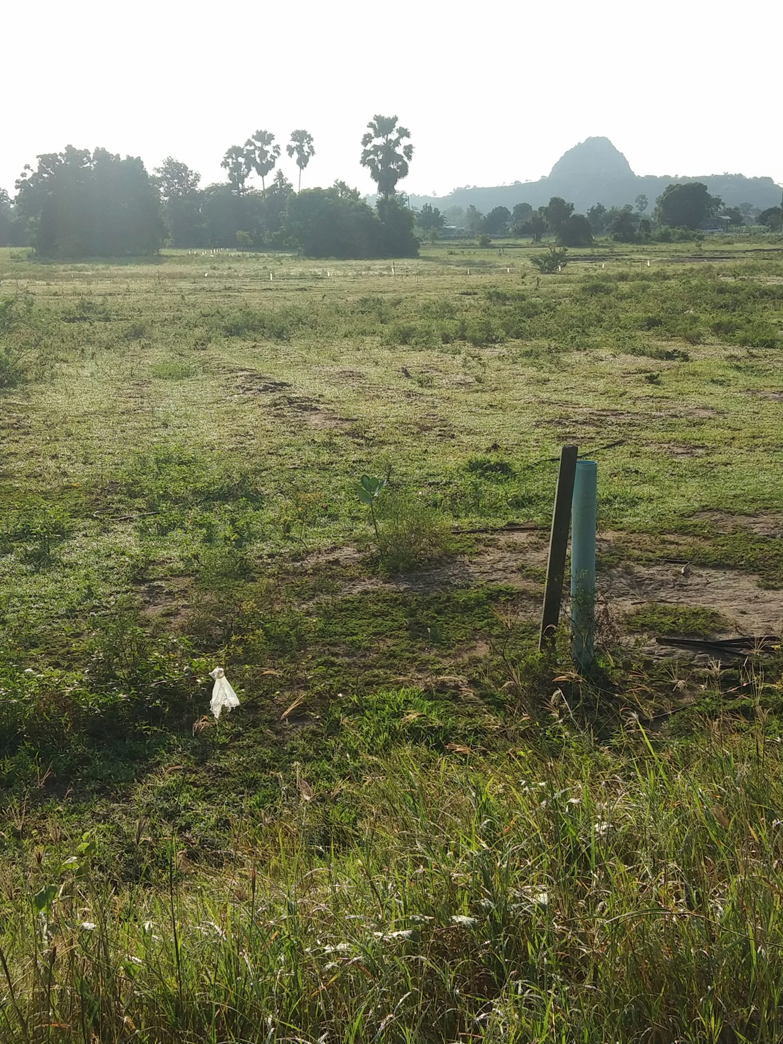 ขายที่ดิน สุพรรณบุรี 5-1-38