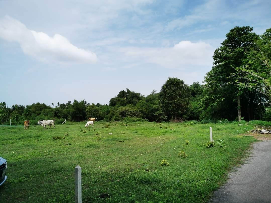 ขายที่ดินราชบุรี จ.ราชบุรี อ.บ้านโป่ง 0-1-66.3 