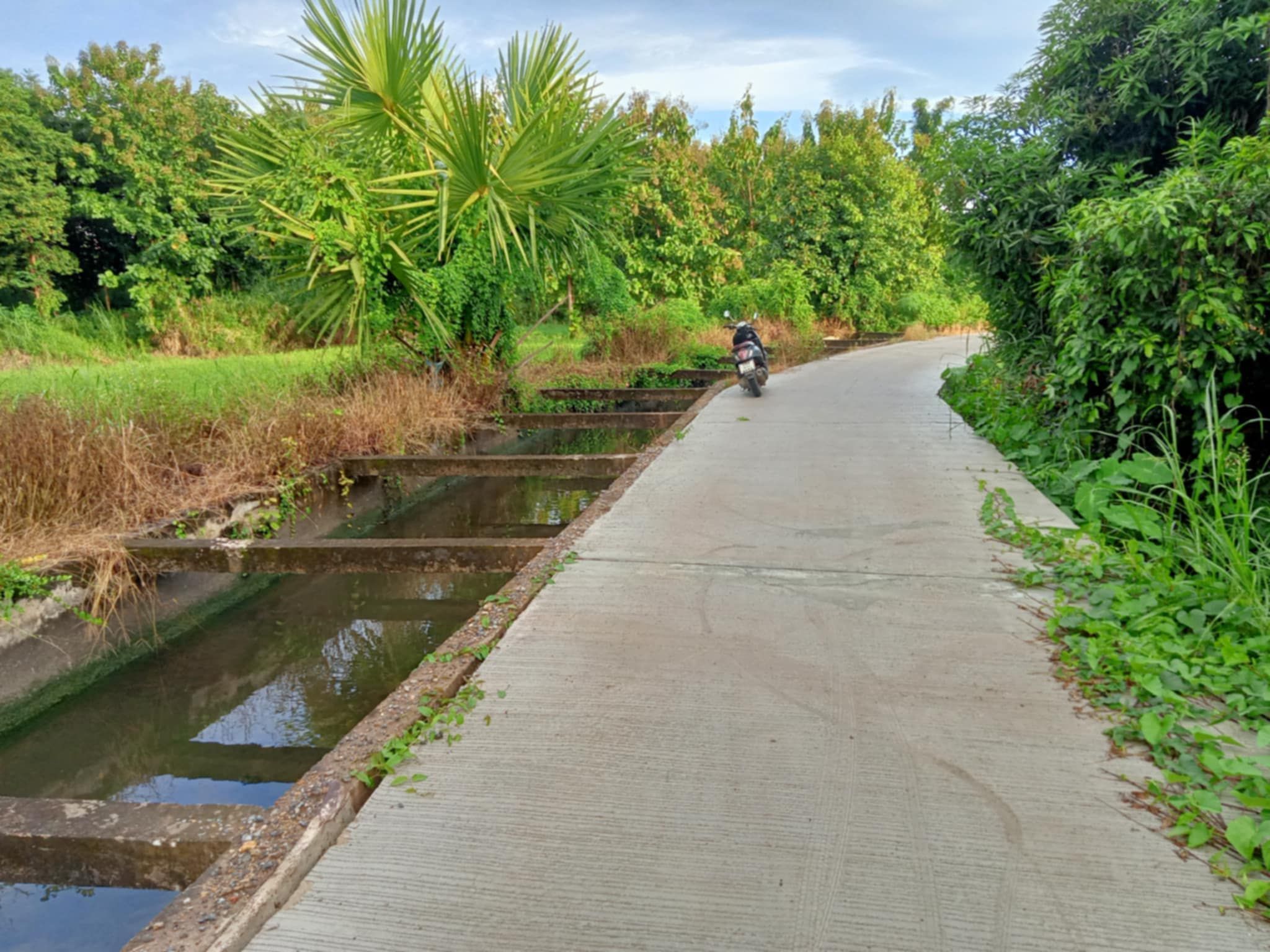 ขายที่ดินเชียงใหม่ จอมทอง 2 ไร่