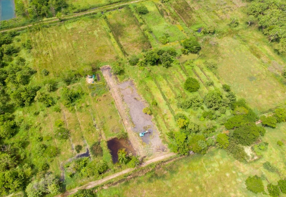ขายที่ดินปทุมธานี หนองเสือ ที่ดินแบ่งขาย มี 4 แปลง ใกล้โรงเรียนวัดแสงมณี 0-1-4.1 ไร่.