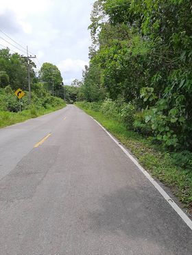 ที่ดินเกาะช้าง ตราด 20-1-40