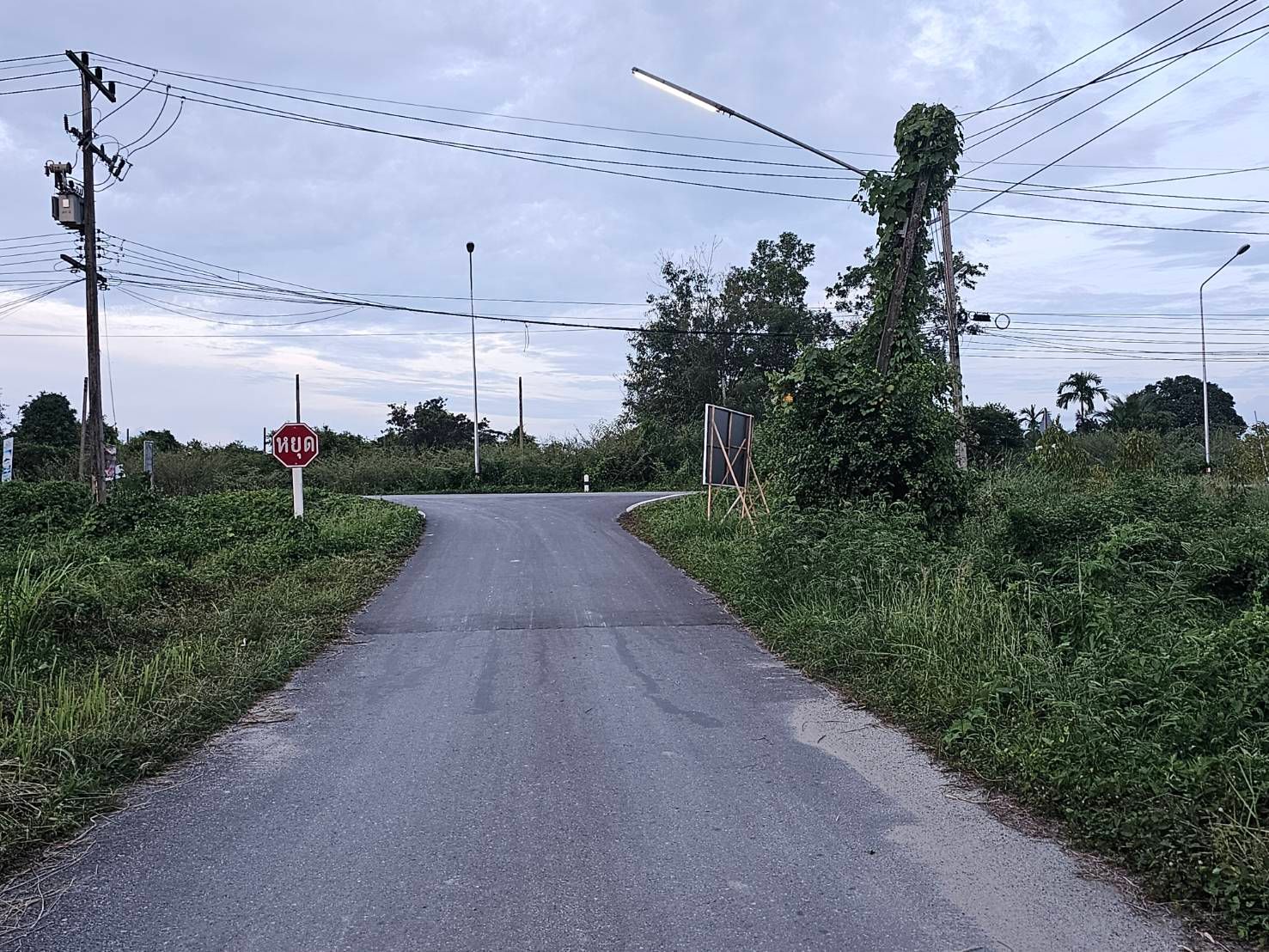 ขายที่ดินใกล้หอพัก ม.วลัยลักษณ์