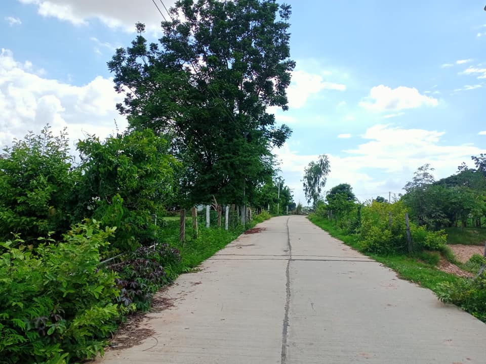 ขายที่ดิน มหาสารคาม 4-2-70 ไร่