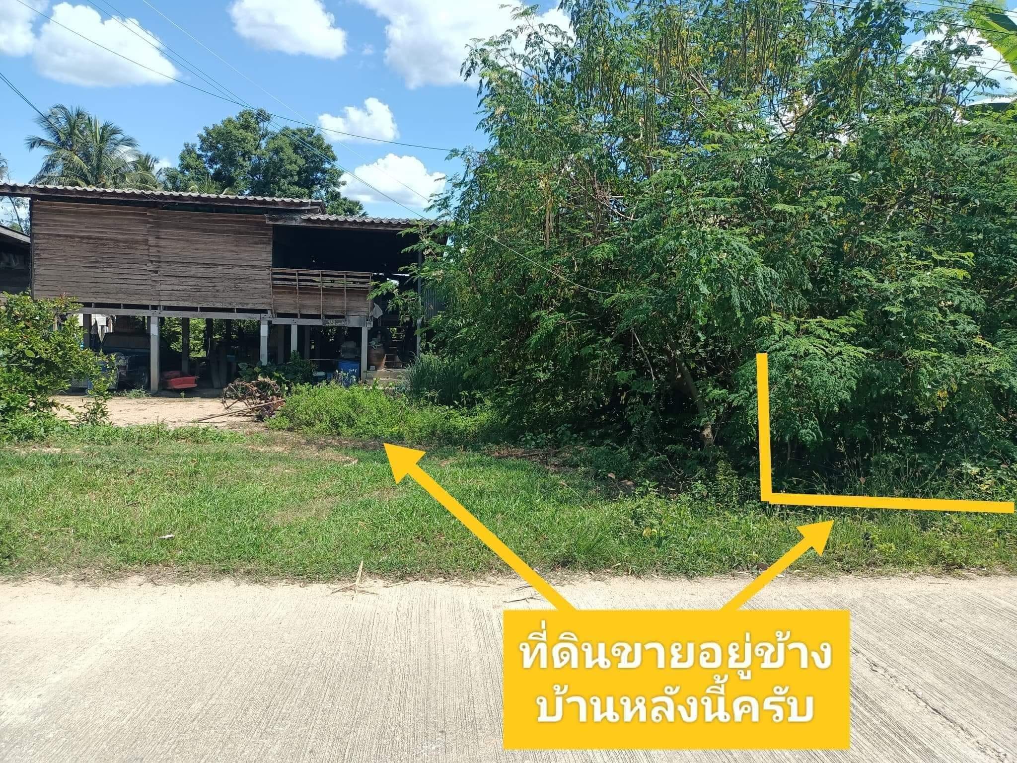 ขายที่ดิน ตาก 2-1-41.3 ไร่