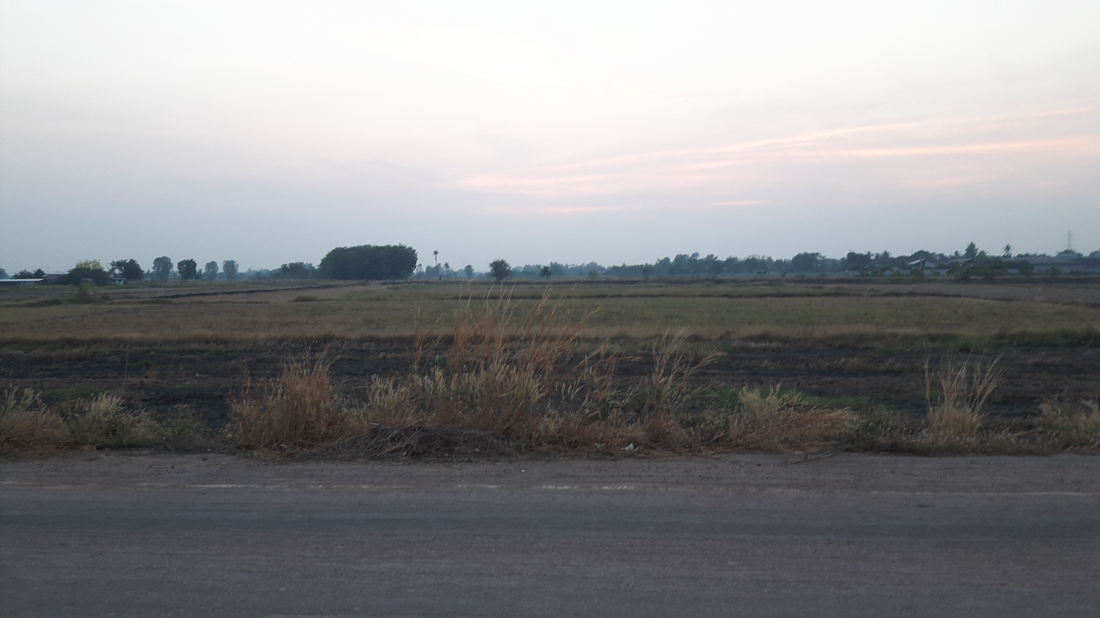 ขายที่ดินติดถนนบ้านตาลสุวรรณ-บ้านบึงถัง 