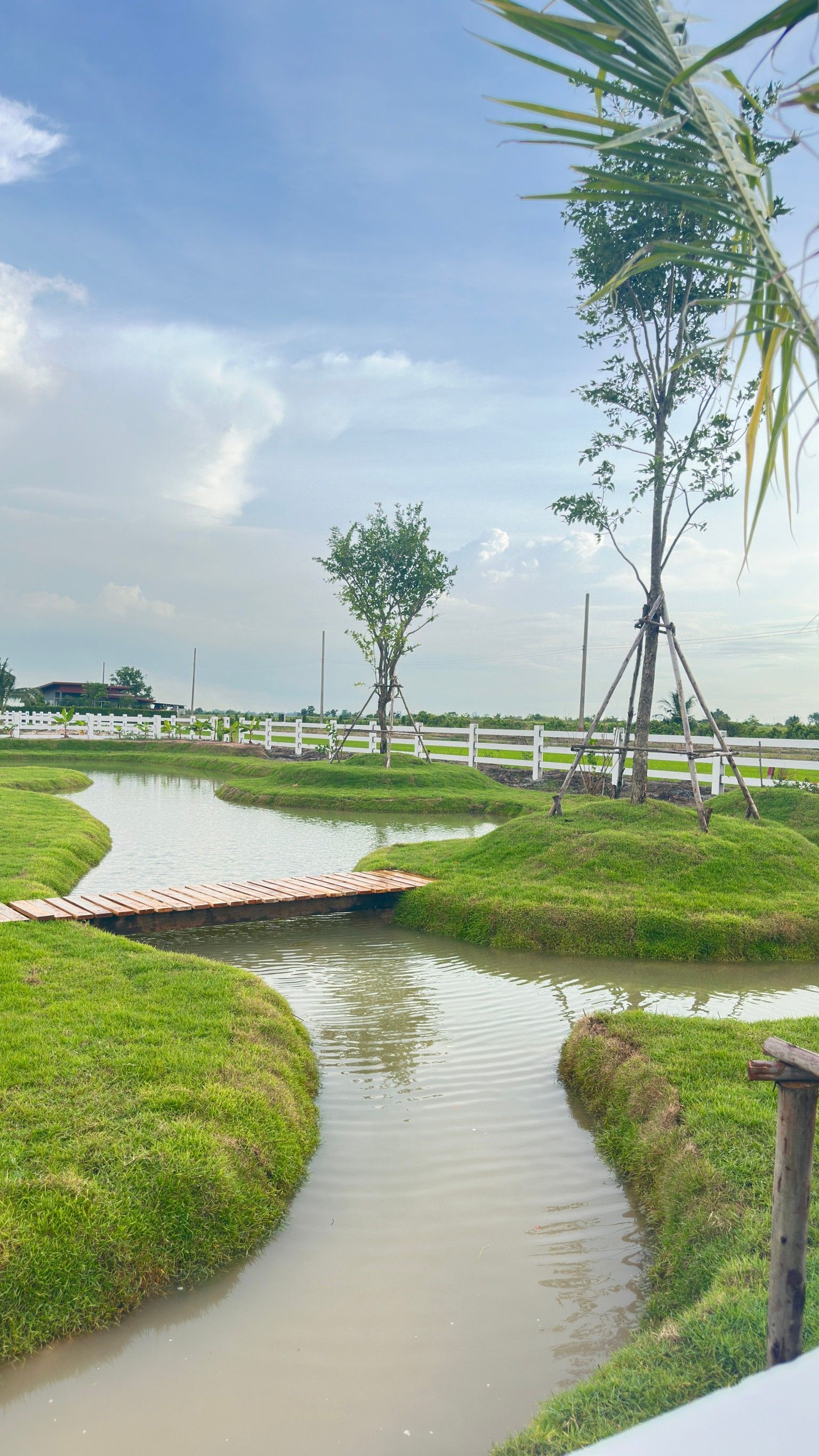 ขายที่ดินนครนายก องครักษ์ ที่ดินโครงการ ภูพนา วิลล์ จาก Phuripiwat เฟส 1 เริ่มต้นแล้ววันนี้!