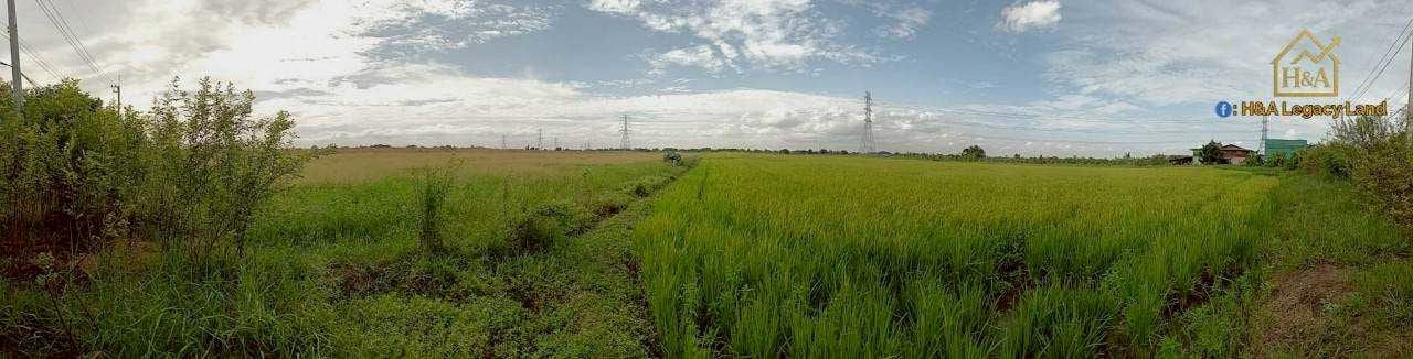 ขายที่ดินเปล่าแปลงสวย ติดถนนใหญ่ อย.3006 ลาดบัวหลวง–ไม้ตรา อ.ลาดบัวหลวง จ.พระนครศรีอยุธยา 30-3-74 ไร่