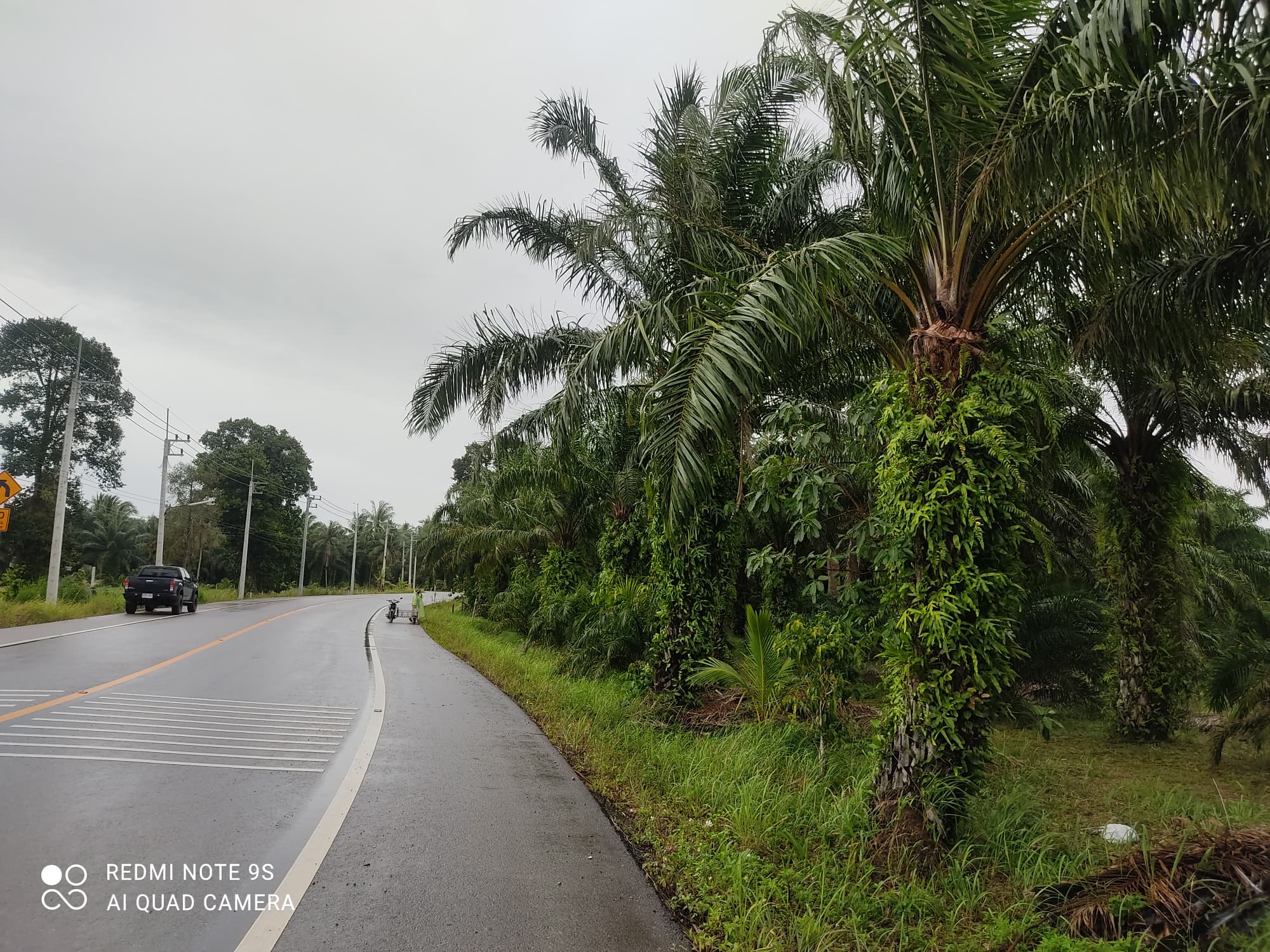ขายที่ดินชุมพร เมืองชุมพร 4ไร่