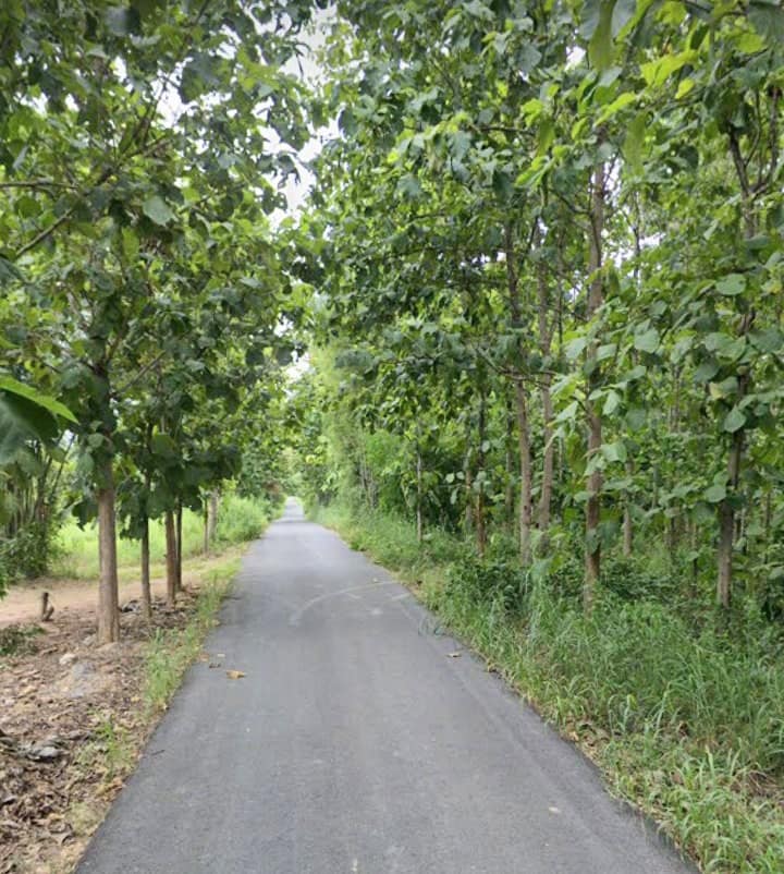 ขายที่ดินน่าน ภูเพียง 4-1-24