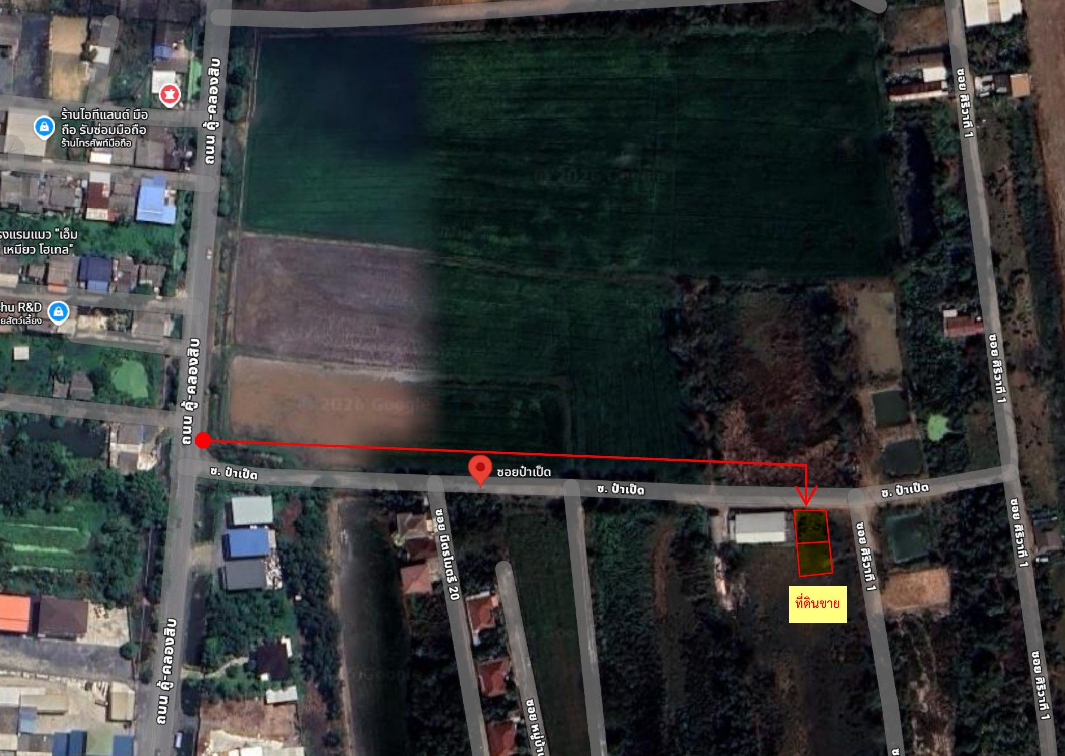 ขายที่ดินกรุงเทพ ที่ดินหนองจอก ซอยป๋าเป็ด ต้นซอย