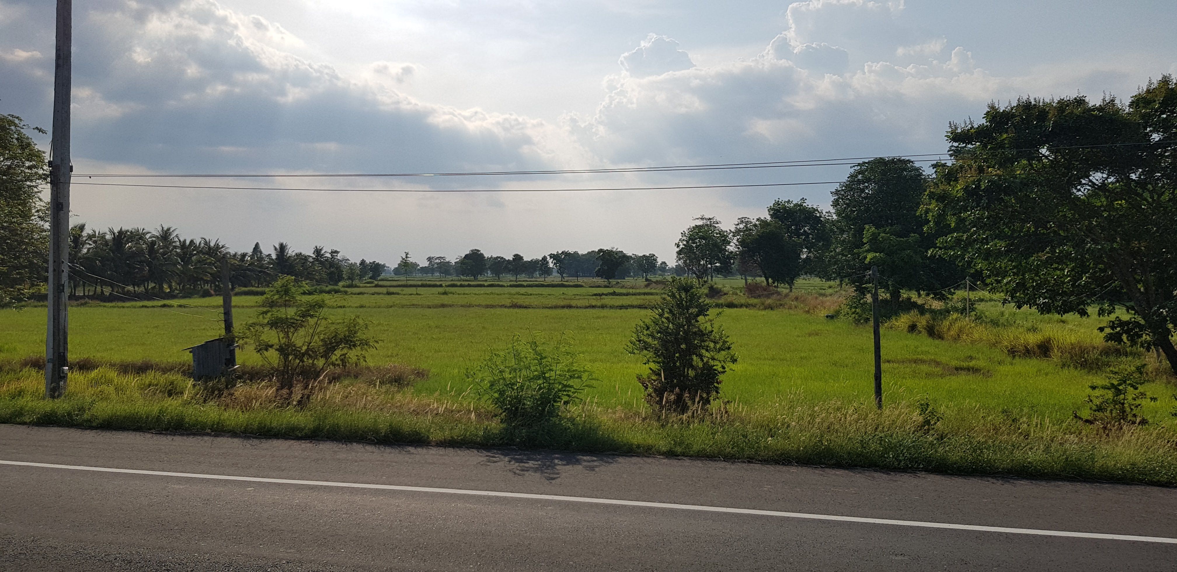 ขายที่ดินบุรีรัมย์ นางรอง ที่นา 34 ไร่ ราคา 800,000 บาท/ไร่
