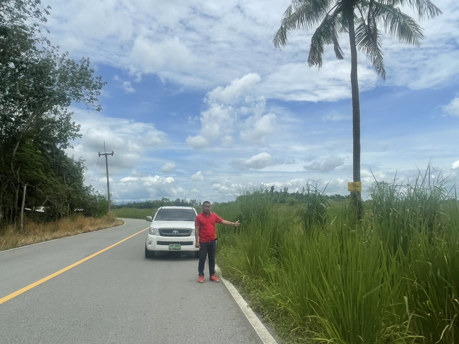 ขายที่ดินอ.หนองใหญ่ ชลบุรี 49-2-68