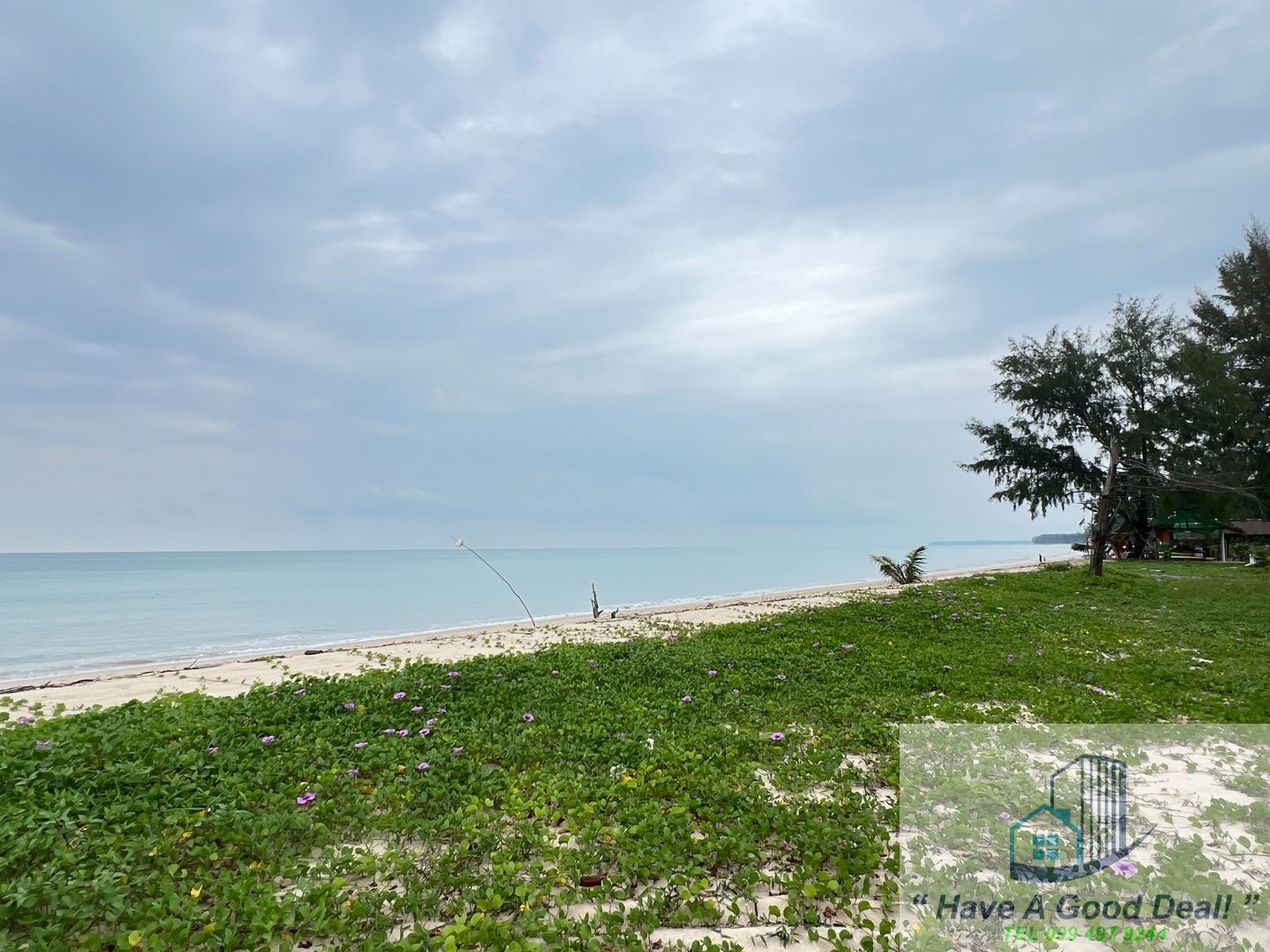 ขายที่ดินพังงา ติดชายหาด 25-1-26.1 ไร่ ต.บางม่วง อ.ตะกั่วป่า จ.พังงา