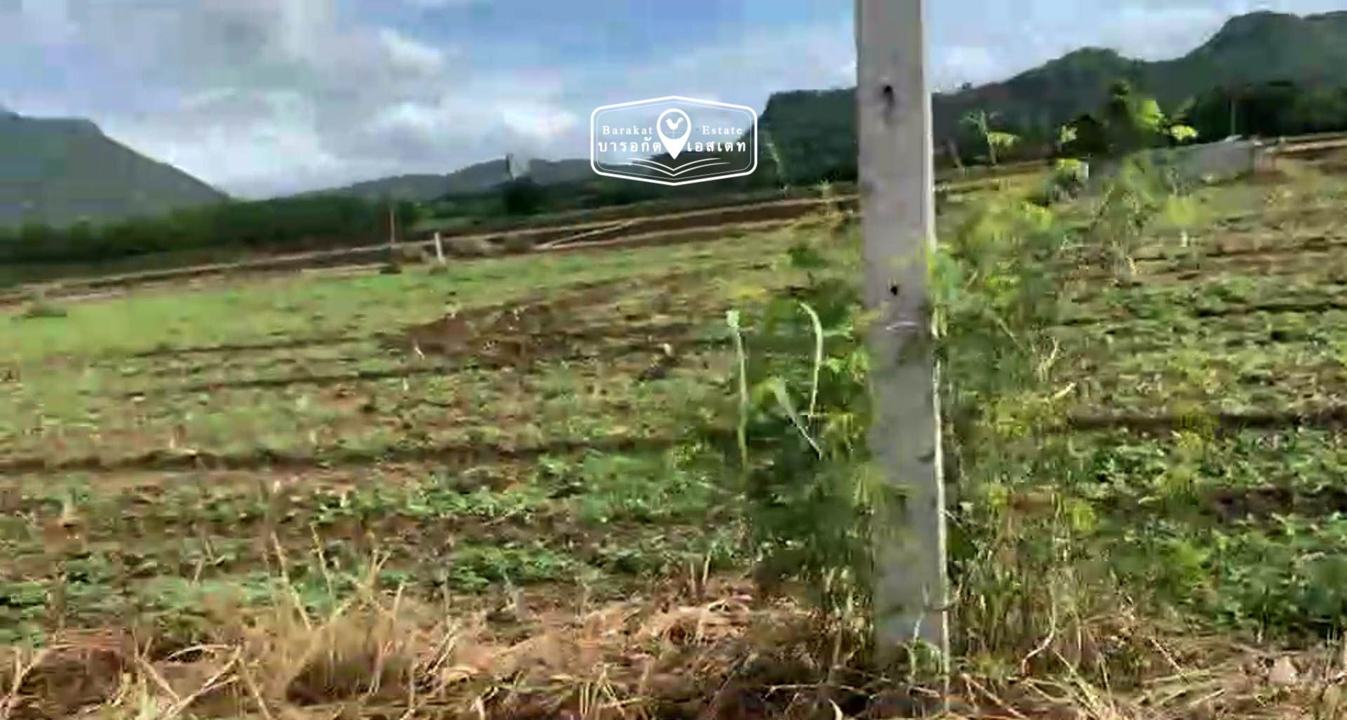  ที่ดินบรรยายกาศแห่งขุนเขา ลมพัดเย็นสบาย ปลูกบ้านสวนไว้พักผ่อนในวัยเกษียณ