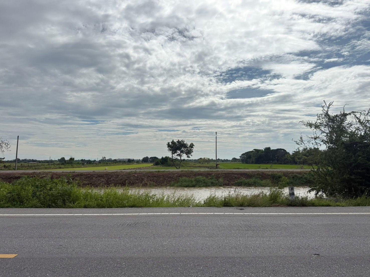ขายที่ดินอยุธยา ภาชี ที่ดินเปล่า เดินทางสะดวก บรรยากาศดี