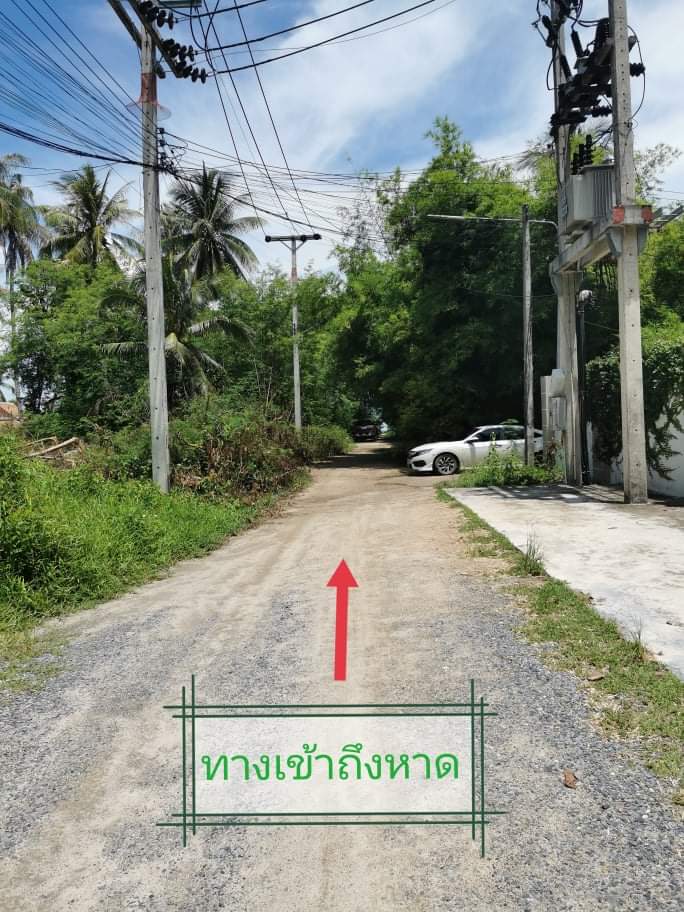 ที่ดินติดชายทะเล พะงัน สุราษฎร์ธานี 2-3-3