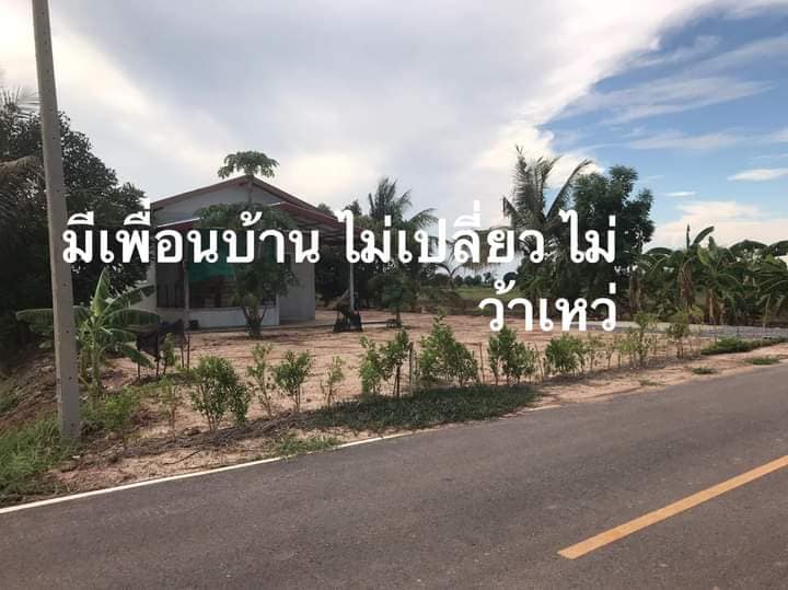 ขายที่ดินพิษณุโลก วัฃทอง 1-0-0