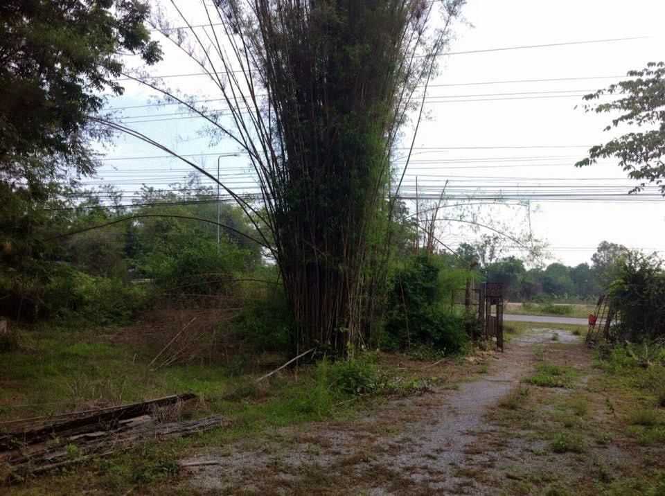 ขายที่ดิน นครสวรรค์ 25-3-20 ไร่