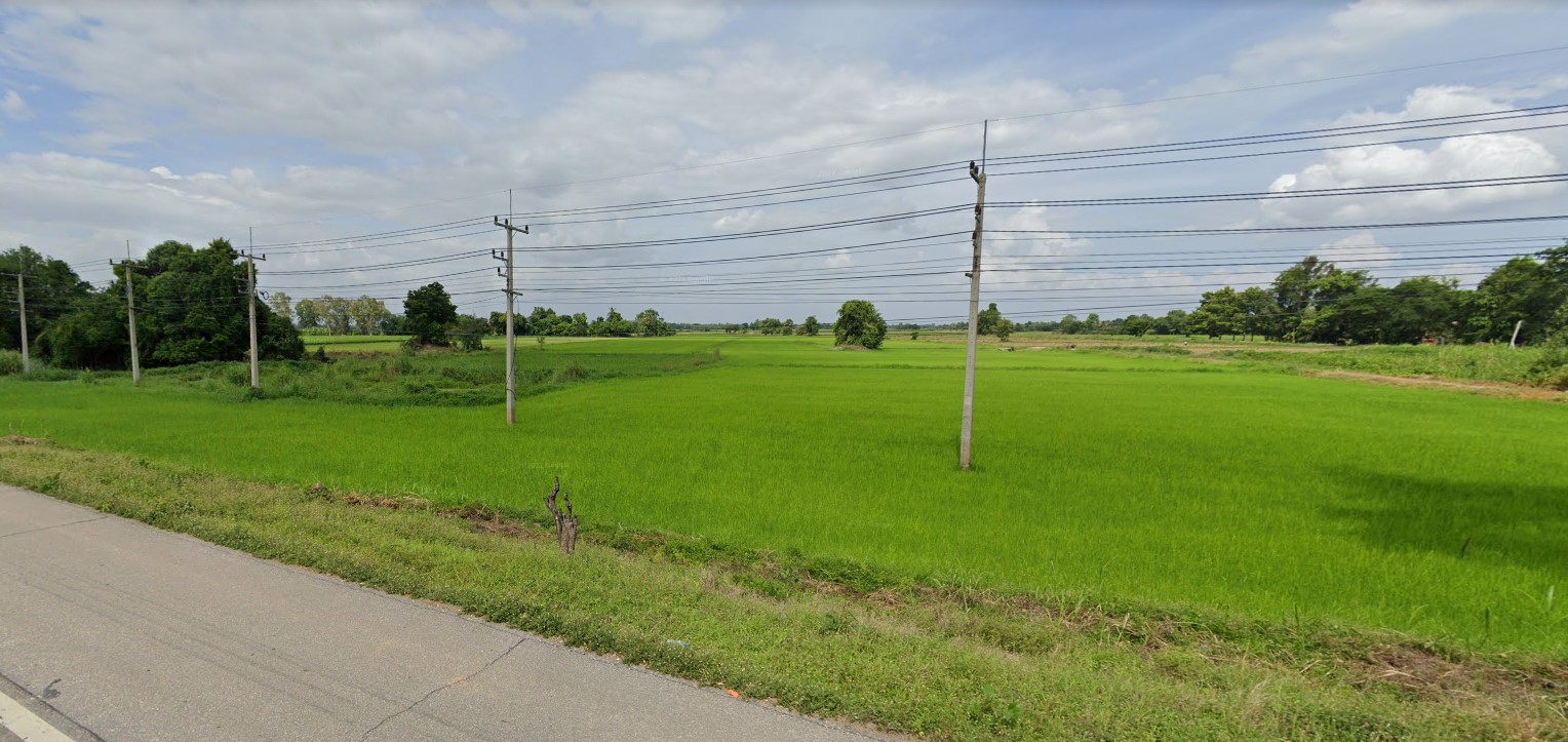 ที่ดินเปล่า พิษณุโลก 11-2-62