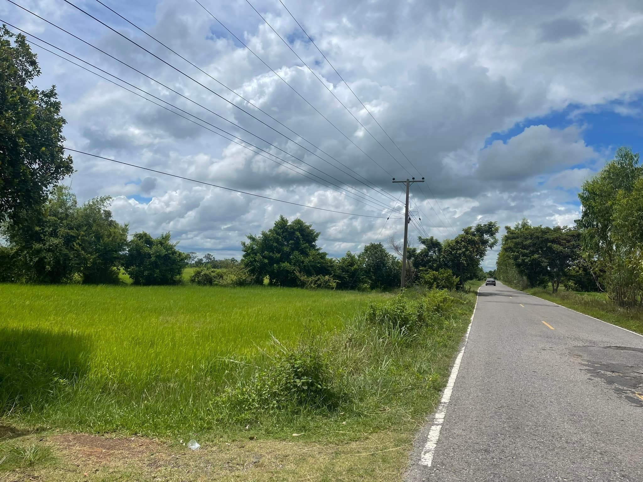 ขายที่ดิน อ.ธวัชบุรี จ.ร้อยเอ็ด 0-3-53 ไร่