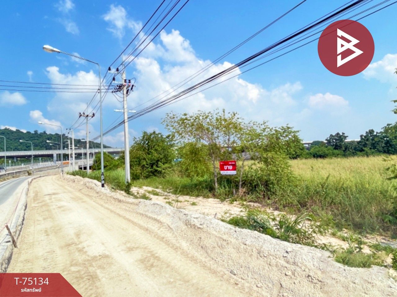 ขายที่ดิน ใกล้สนามบินอู่ตะเภา เนื้อที่ 39 ไร่ 2 งาน 55.6 ตารางวา บ้านฉาง ระยอง