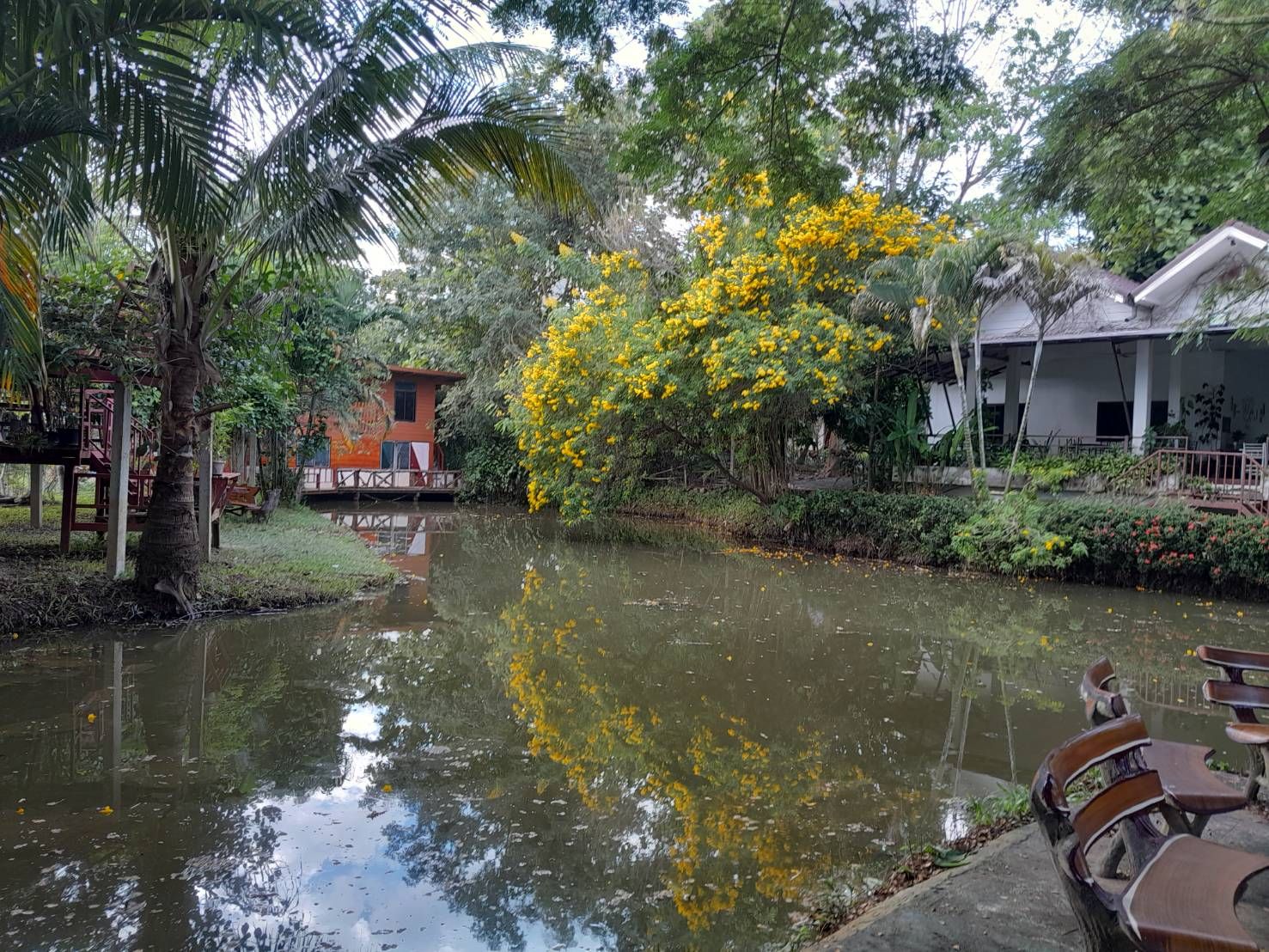 ขายรีสอร์ทท่ามกลางธรรมชาติ ตำบลแม่แรม อำเภอแม่ริม เชียงใหม่