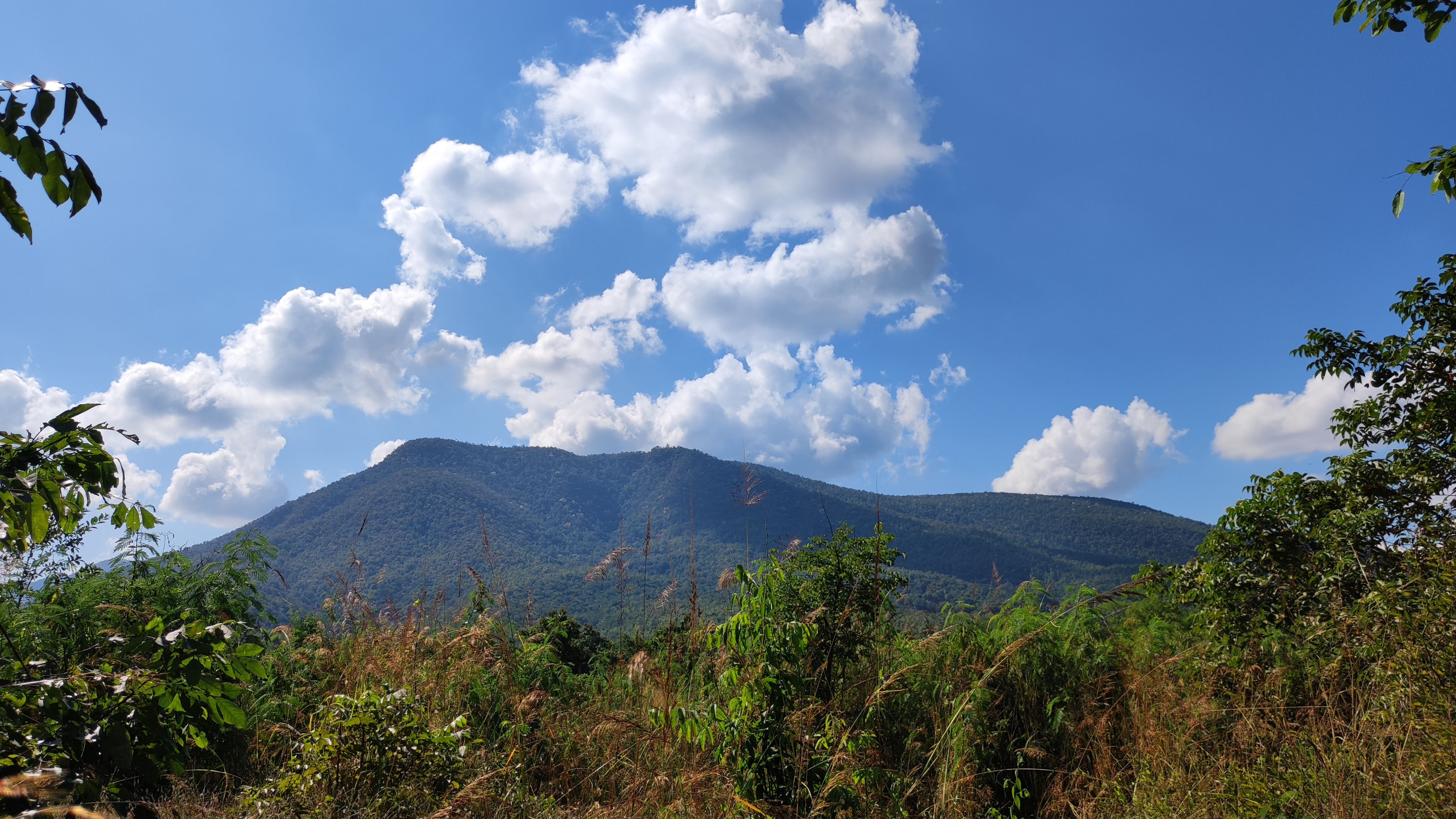 ขายที่ดินวิวภูเขา อยู่บนเนิน ใกล้ชุมชน (เหมาะทำรีสอร์ทบ้านพักเนินเขา)