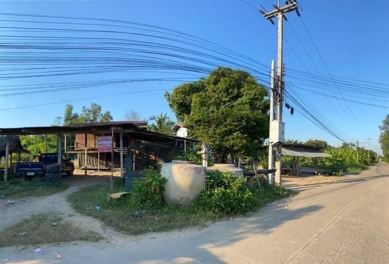 บ้านไม้ยกสูงพร้อมที่ดินโฉนด พิจิตร 238 ตร.ว