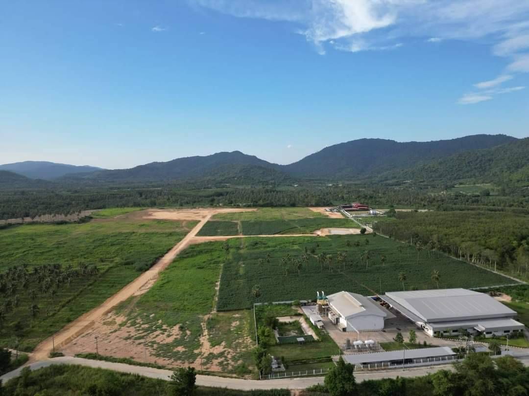 #ขายที่ดินชลบุรี แปลงใหญ่ สวย ทำเลดี ใกล้ชุมชน ใกล้โรงเรียนบ้านหุบบอน 