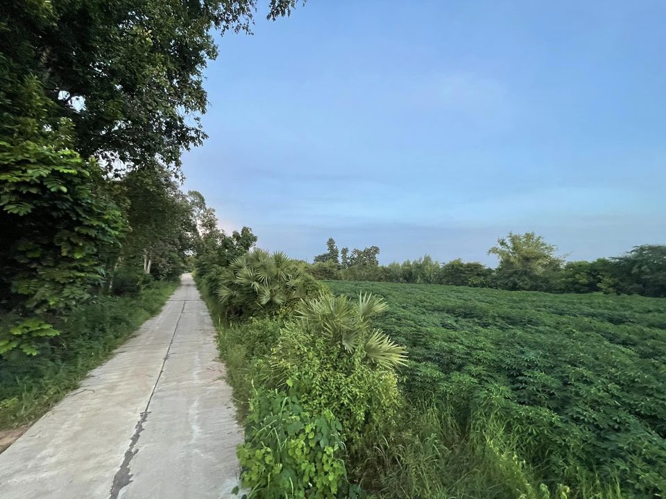 ขายที่ดิน อุบลราชธานี 5-1-99 ไร่